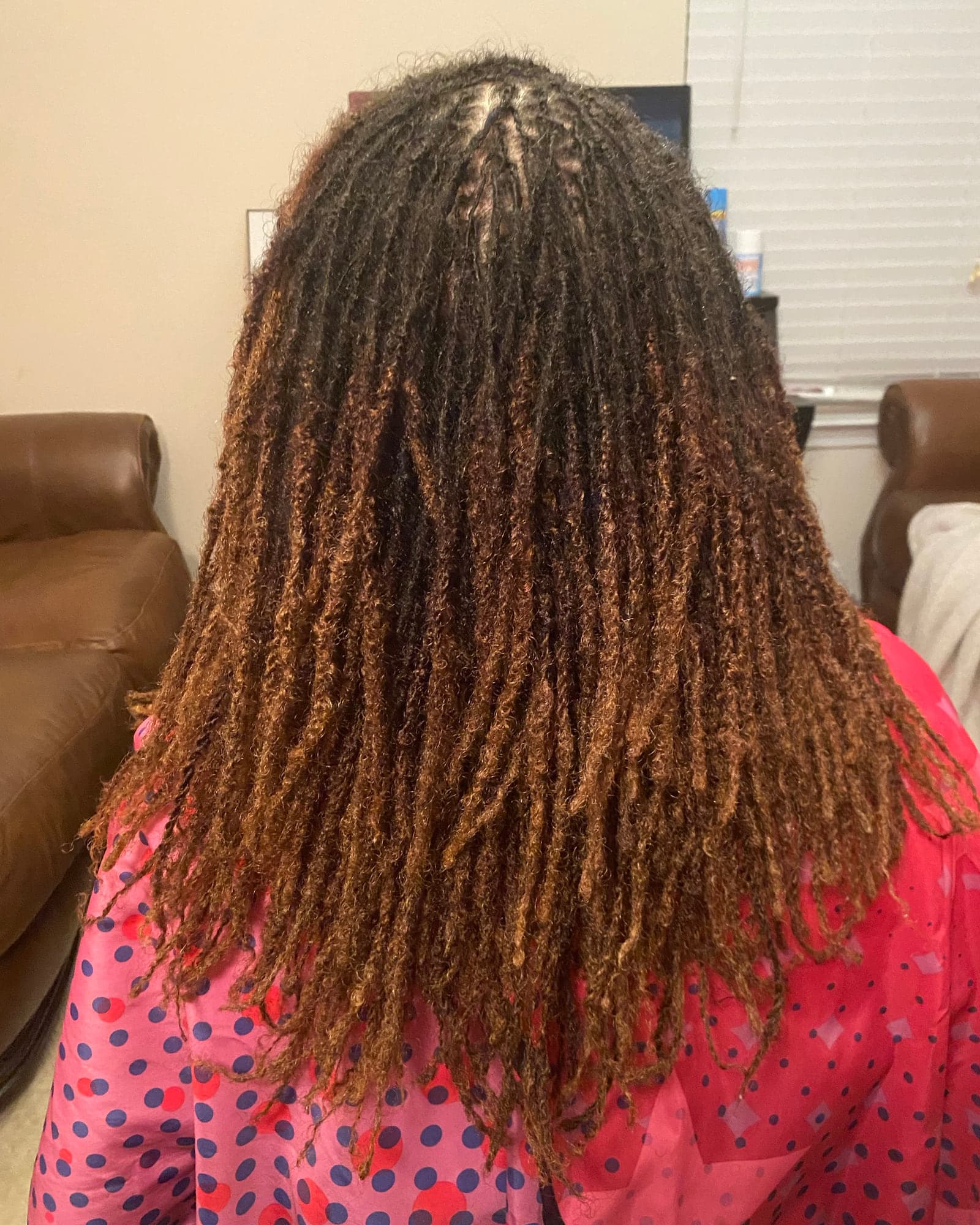 Back view of long brown locs with warm, lighter ends