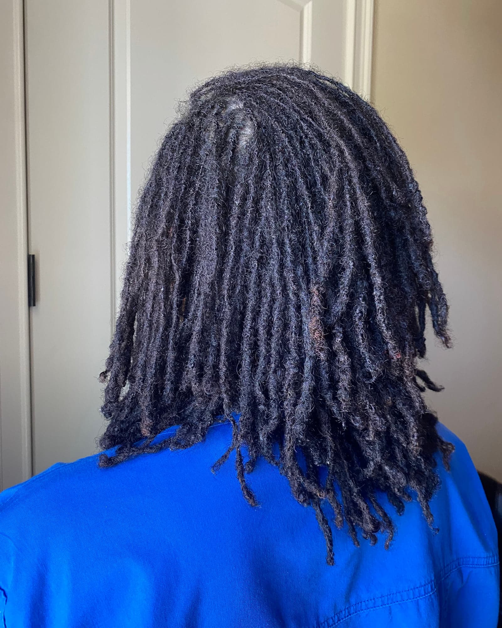 Back view of shoulder-length dark locs